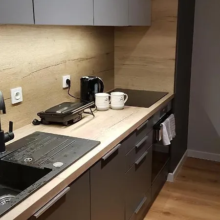 Apartamento Posnania Comfort Apartment, Free Parking, Self Check-in 24h