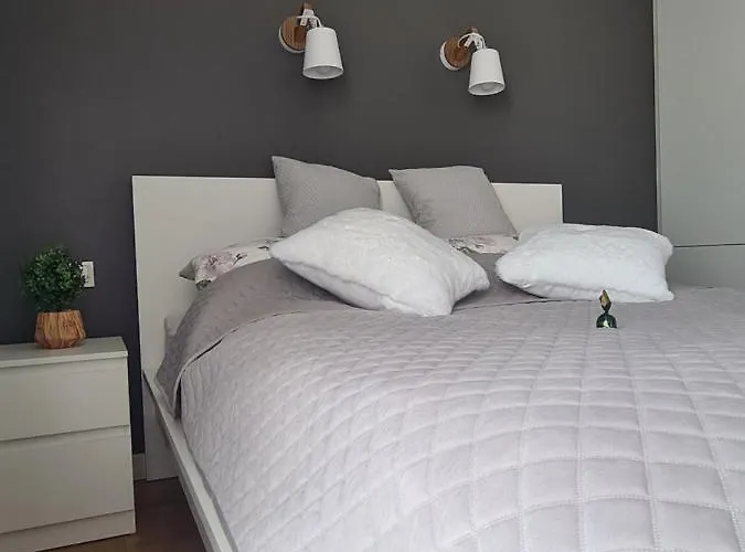 Posnania Comfort Apartment, Free Parking, Self Check-in 24h شقة بوزنان