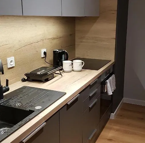 Apartment Posnania Comfort Apartment, Free Parking, Self Check-in 24h